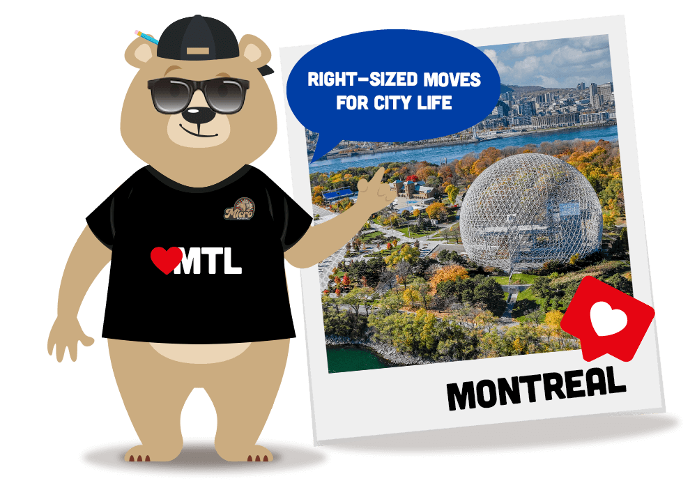 Micromoves Montreal