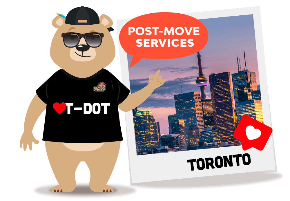 Micromoves Toronto